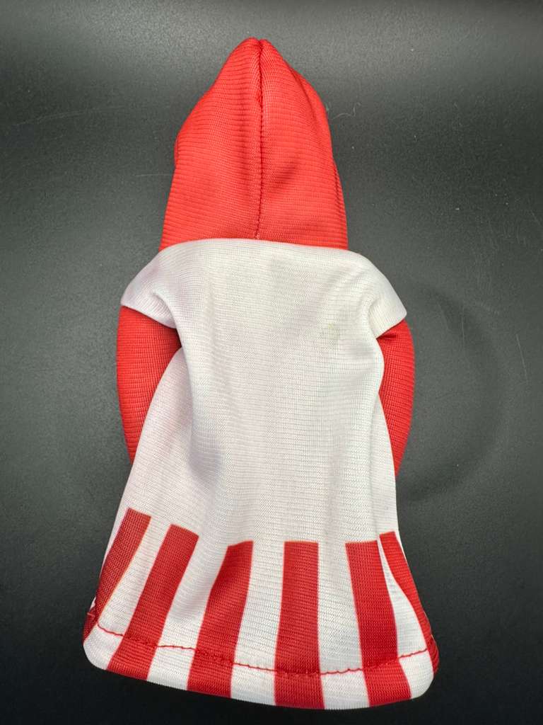 Mini Hoodie de Junior de Barranquilla para Palanca de Cambios y Botellas