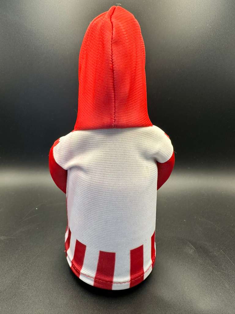 Mini Hoodie de Junior de Barranquilla para Palanca de Cambios y Botellas